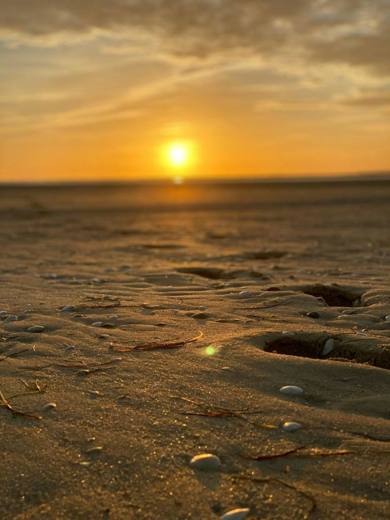 황금빛 하늘 아래 지표면에 작은 조개껍질이 흩날리는 모래 해변에서 석양을 감상해보세요.