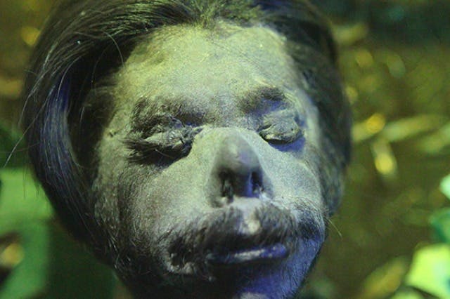 리플리의 믿거나 말거나! 세인트 어거스틴