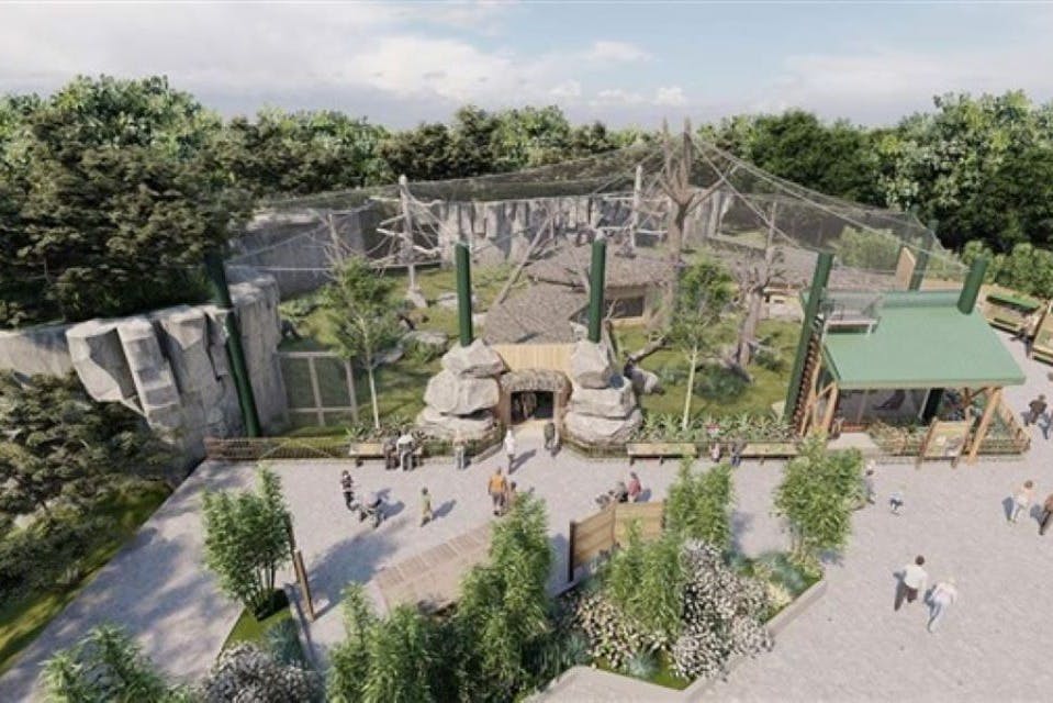 Gorilla Grove 