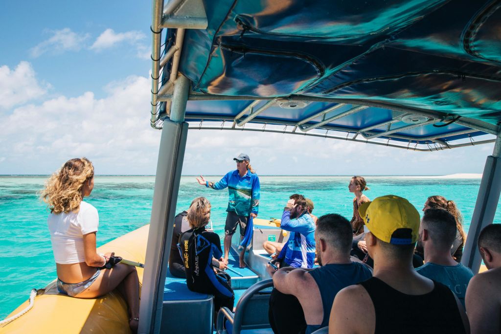 거북이 트립퍼 어드벤처