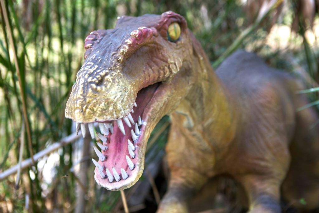 입을 벌리고 날카로운 이빨을 보여주는 공룡 조각의 클로즈업. 배경에 녹지가 흐릿합니다.