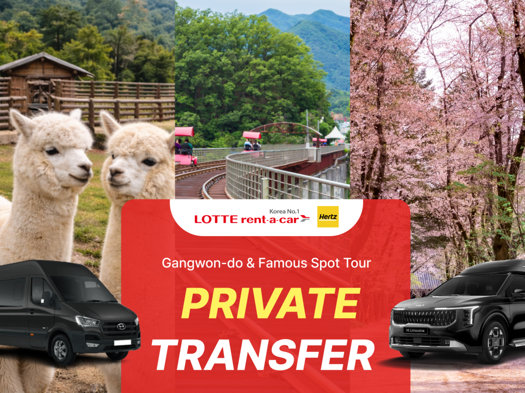 Best of Gangwon-do: Nami Island & Alpaca World Private Tour