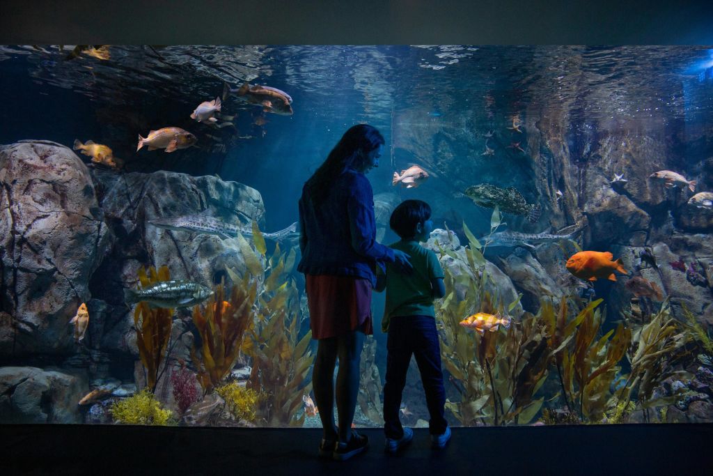 태평양 수족관의 수족관 앞에 있는 어머니와 아들