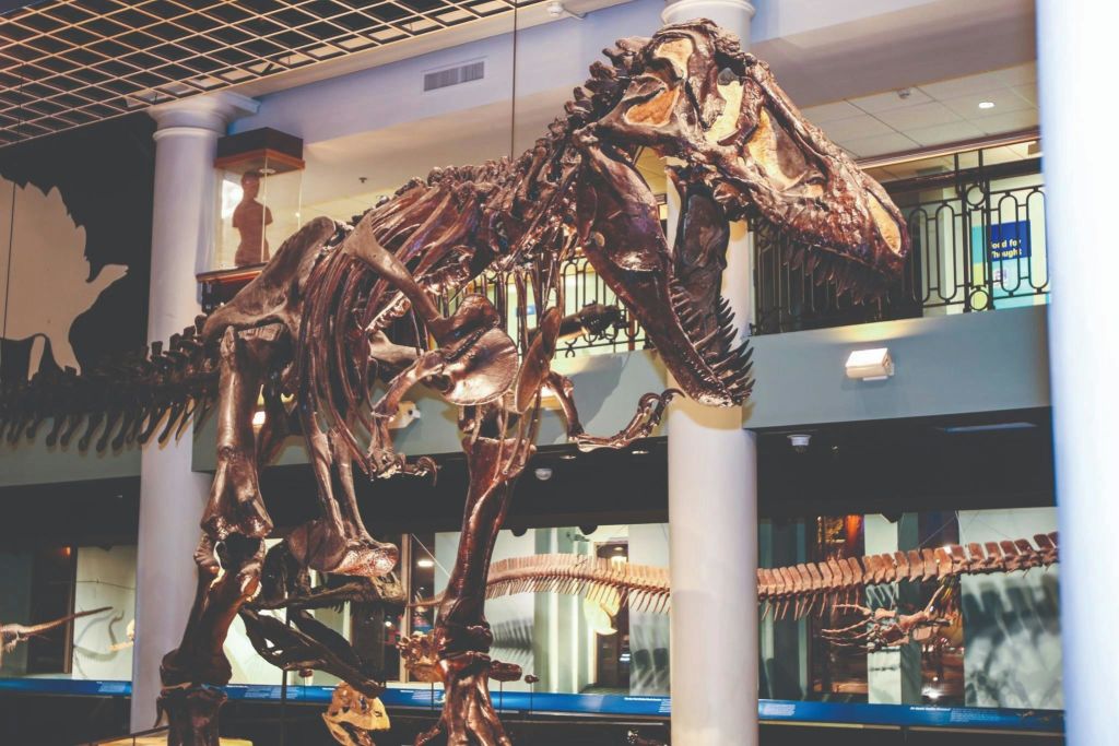 드렉셀 대학교 자연과학 아카데미