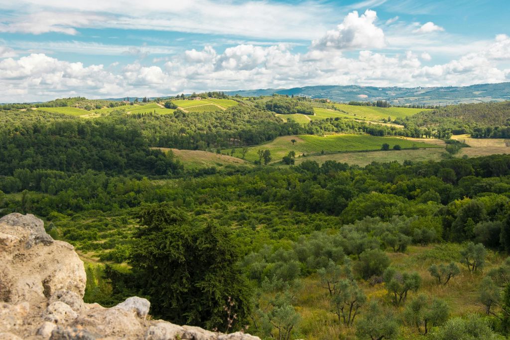 중세 토스카나 체험: 피렌체에서 출발하는 몬테리지오니와 발도르시아 투어