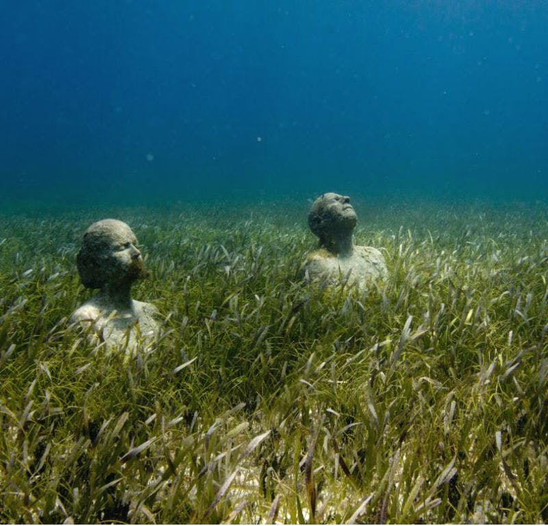 해초와 푸른 물 배경이 있는 수중 풍경에서 두 개의 물에 잠긴 사람의 머리와 어깨의 돌 흉상.