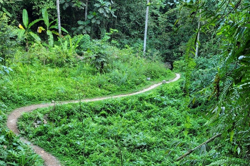 폭포로 가는 길