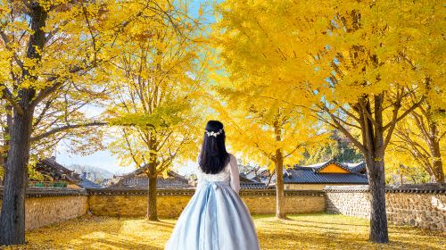 [From Seoul] Jeonju Hanok Village 1-Day Tour & Hanbok Experience