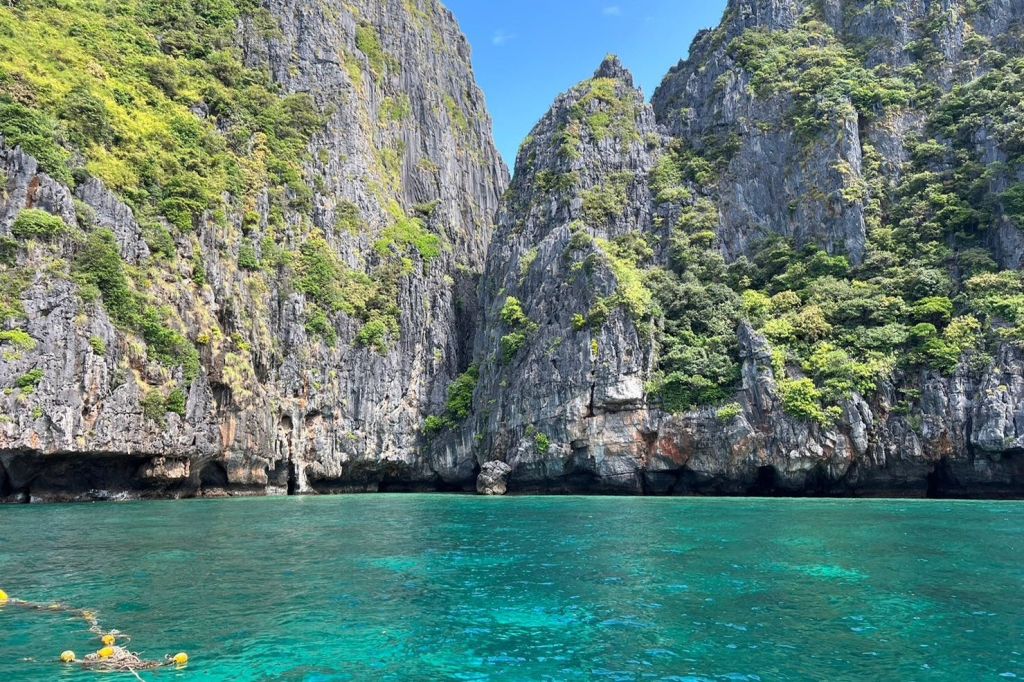 몽키비치는 관광객들에게 친숙한 마카크들이 많이 사는 곳입니다.