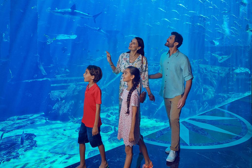 아틀란티스 더 팜 - 앰배서더 라군