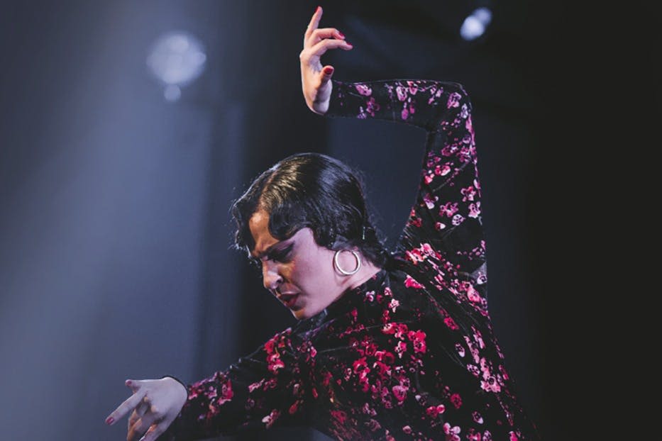 플라멩코 타블로 예술가 카사 아나.