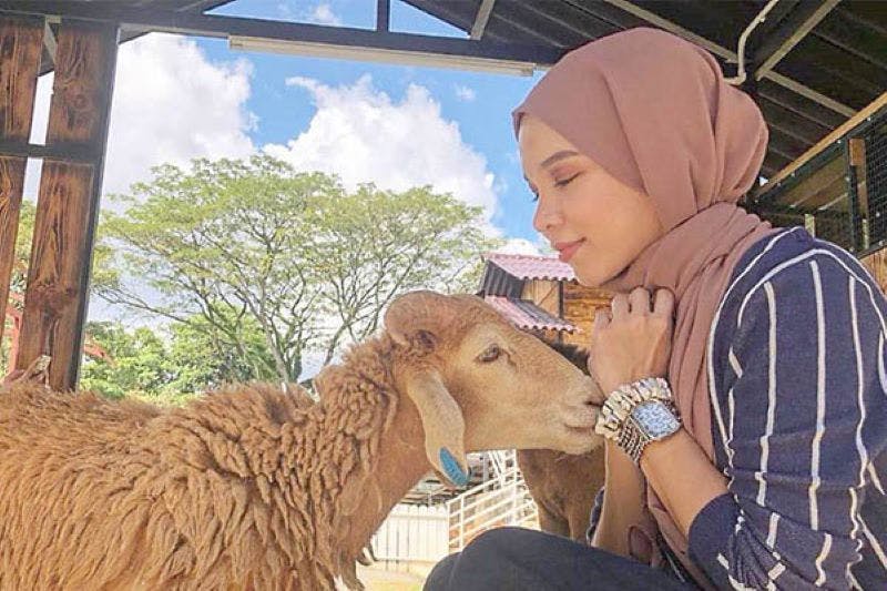 히잡을 쓴 한 여성이 양에게 가까이 기대어 그 순간을 즐기는 것처럼 보입니다. 배경은 나무와 구조물이 있는 화창한 날을 보여줍니다.