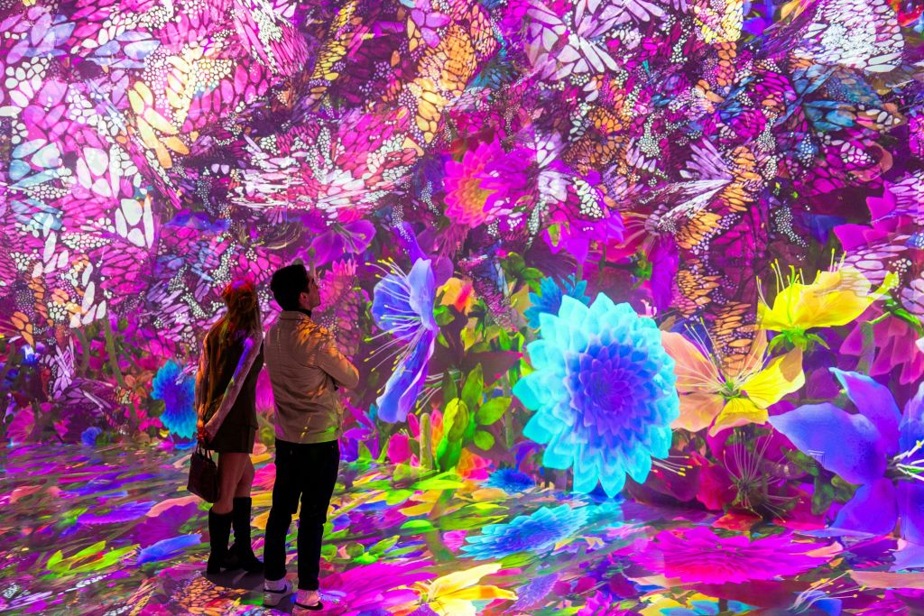 두 사람은 화려한 꽃과 나비가 벽과 바닥에 투영된 생동감 넘치는 디지털 아트 설치물을 관찰합니다.