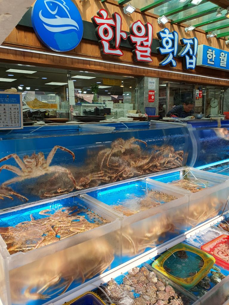 [부산]자갈치&영도다리&용두산&깡통시장(24.11.30 - 트리플, 나를 아는 여행 앱