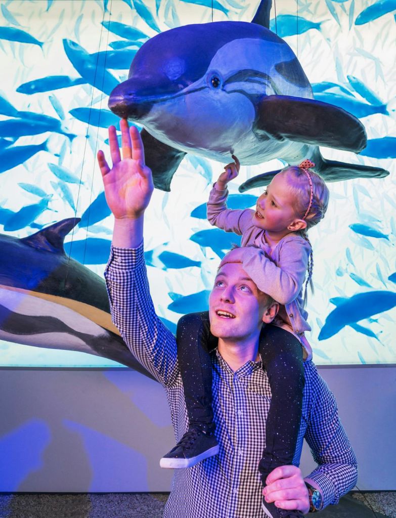 아이슬란드 고래를 만나는 가족 여행