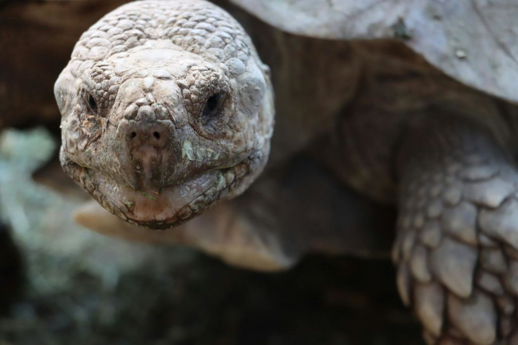 미친아쿠아리움과달라하라