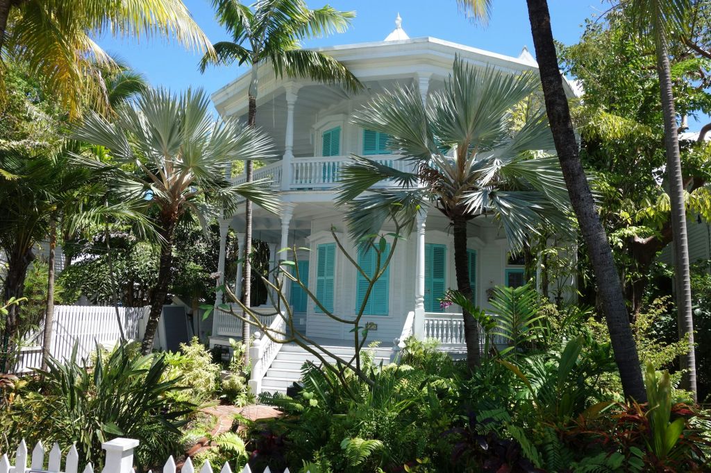 키 웨스트에는 열대 식물이 풍부합니다