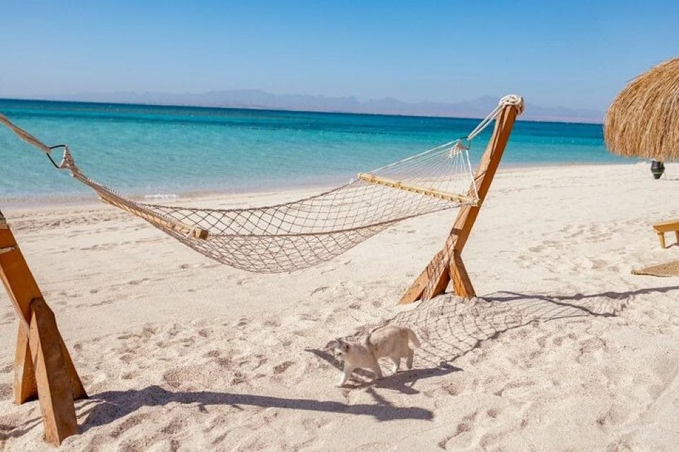 훌라훌라섬 바다에서 즐기는 스노클링 & 전일 점심 식사 - 후르가다