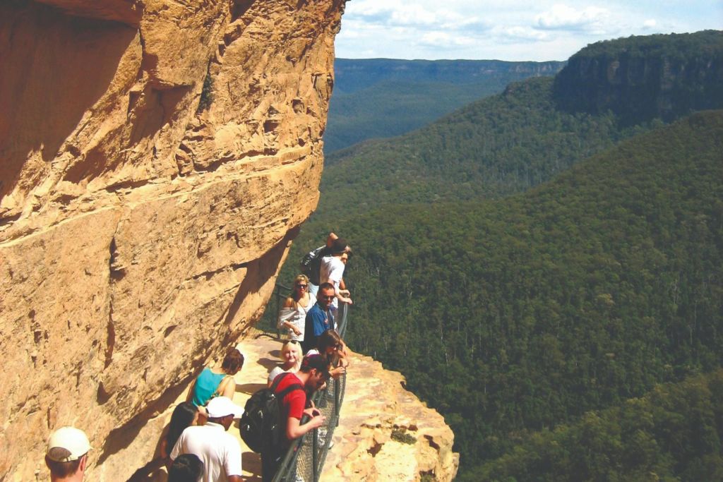 부시 워크 (선택 사항)