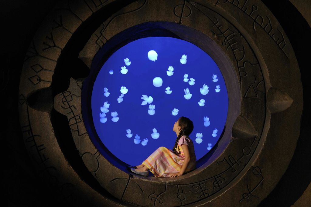 아틀란티스 - 로스트 챔버 아쿠아리움