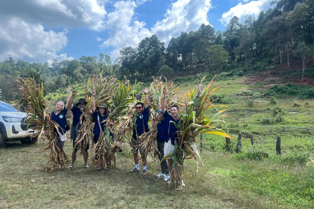코끼리 먹이 주기