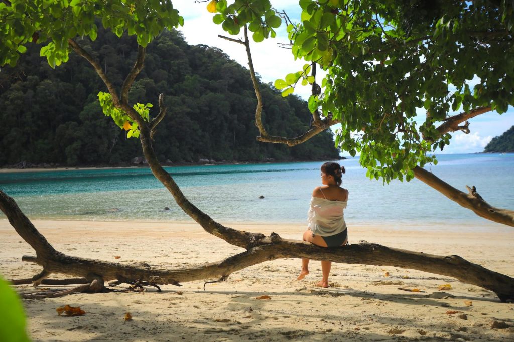 아름다운 수린 제도
