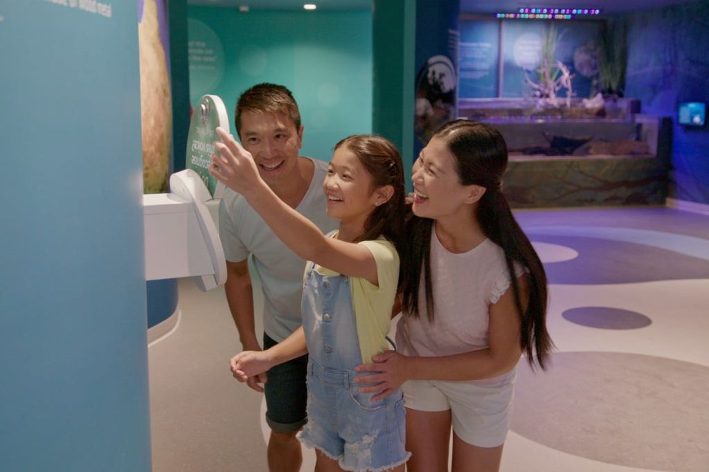 무료 다국어 가이드 시스템을 통해 나만의 속도로 배우고 발견하세요.