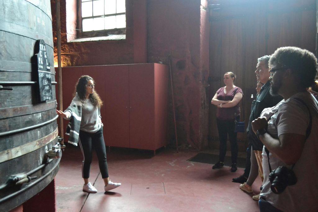 와인 저장고 방문하기