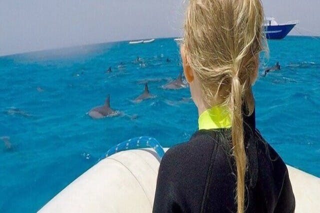 사타야 돌고래의 집