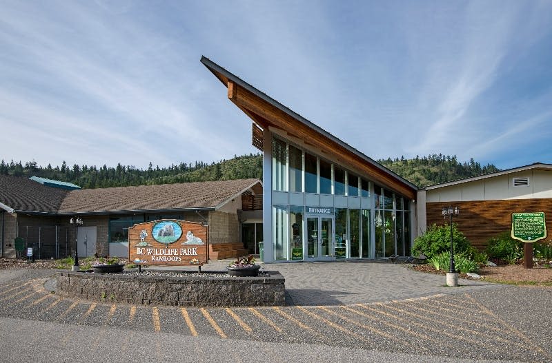 삼각형 지붕, 커다란 유리창, 'BC Wildlife Park Kamloops' 표지판이 있는 건물 입구. 언덕과 하늘을 배경으로.
