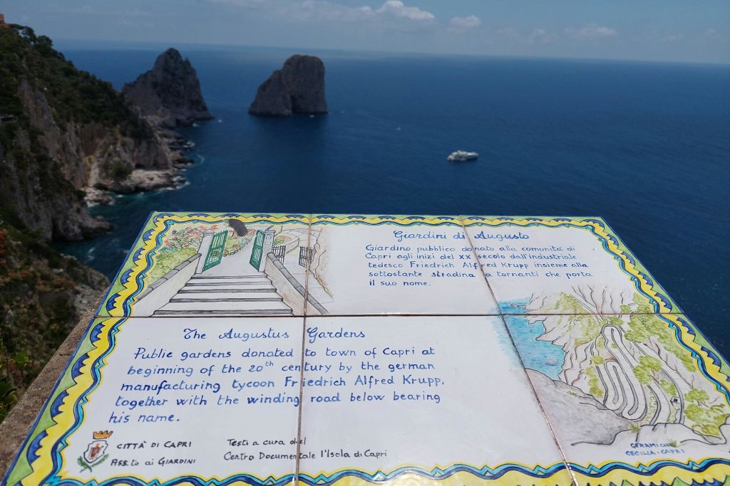 패러글리오니 전망