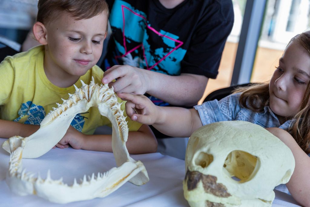 리플리스아쿠아리움오브머틀 비치