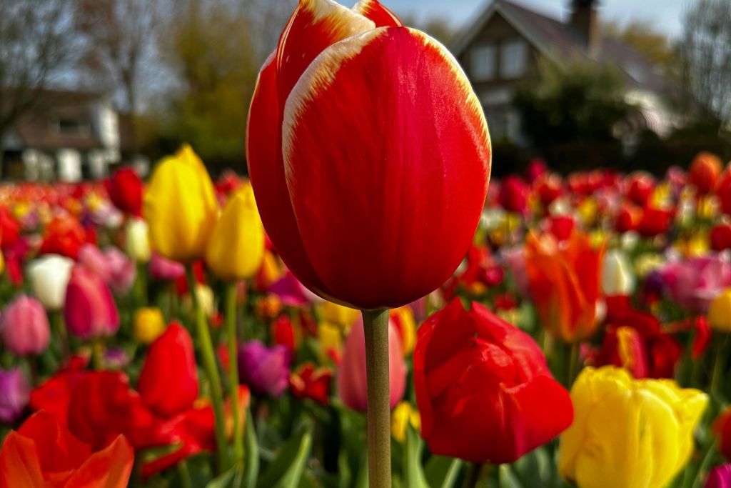 원하는 모든 색상을 보여드리겠습니다