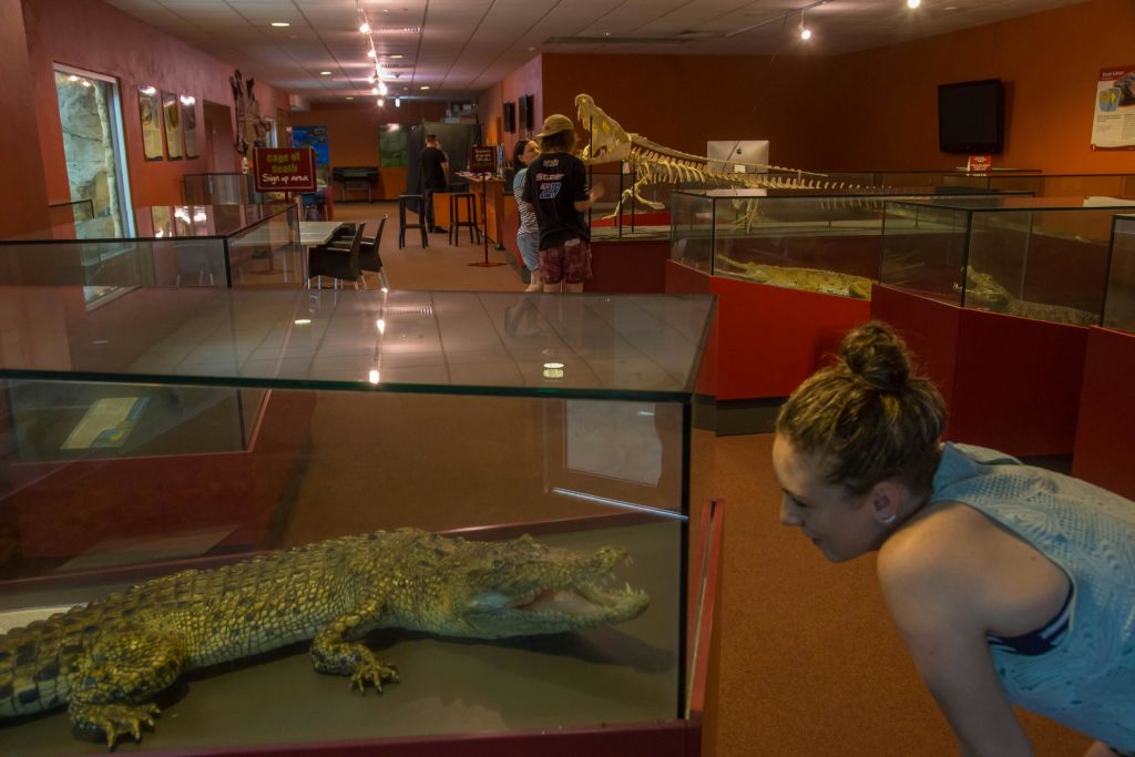 한 여성이 박물관의 유리 케이스에서 박제 악어를 관찰하고 있습니다. 배경에는 스켈레톤 디스플레이와 다른 방문객들이 있습니다.