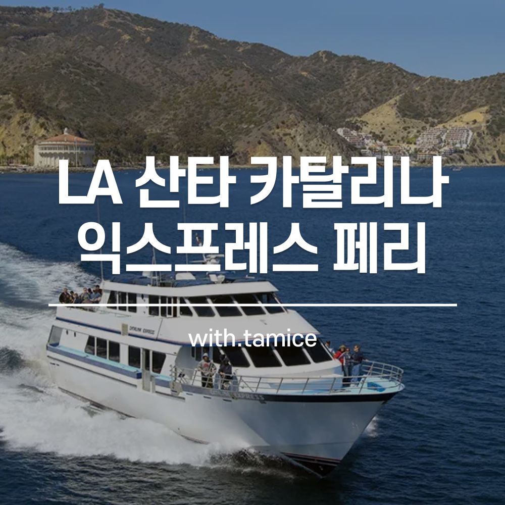 [타미스] LA 산타 카탈리나 섬 익스프레스 페리