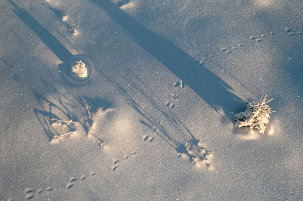 리시툰투리 국립공원
