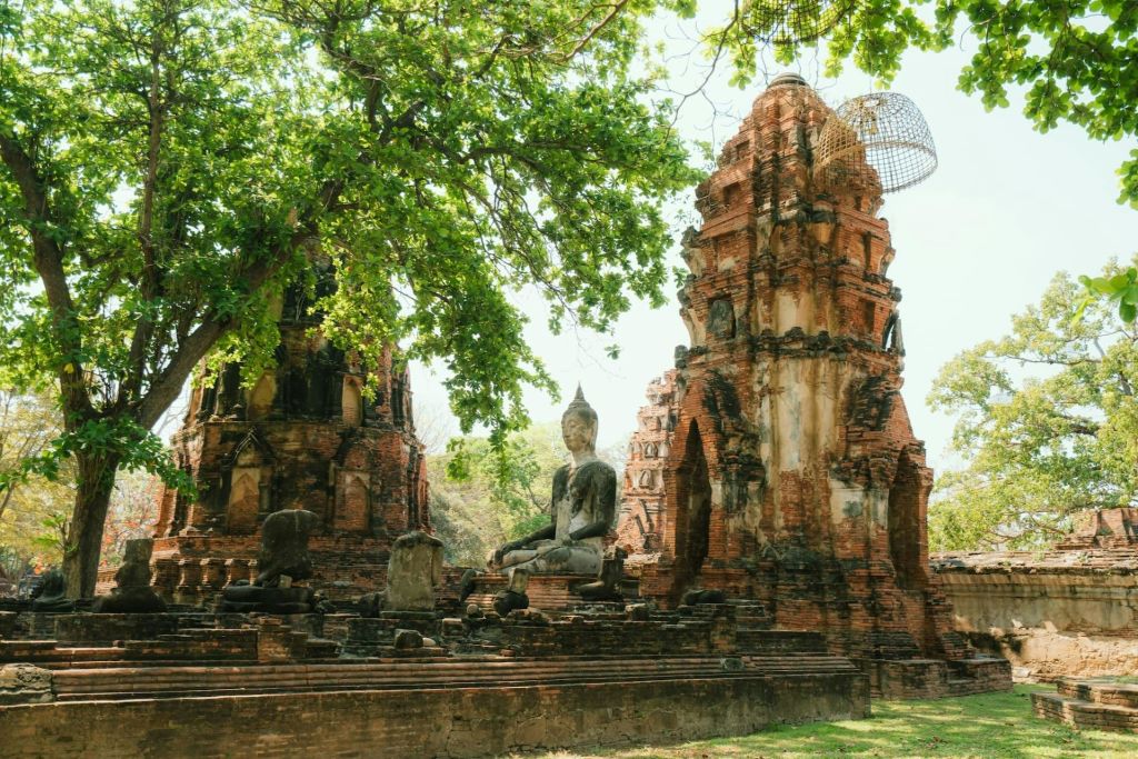 밝은 햇살 아래 나무로 둘러싸인 자리에 앉은 불상이 있는 고대 사원 유적.