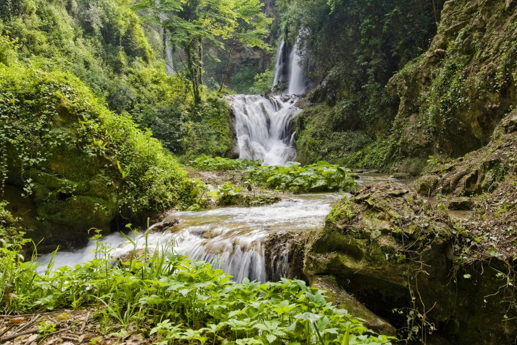 다층 폭포는 활기찬 초목과 이끼로 덮인 바위가 우거진 푸른 숲을 따라 계단식으로 이어집니다.