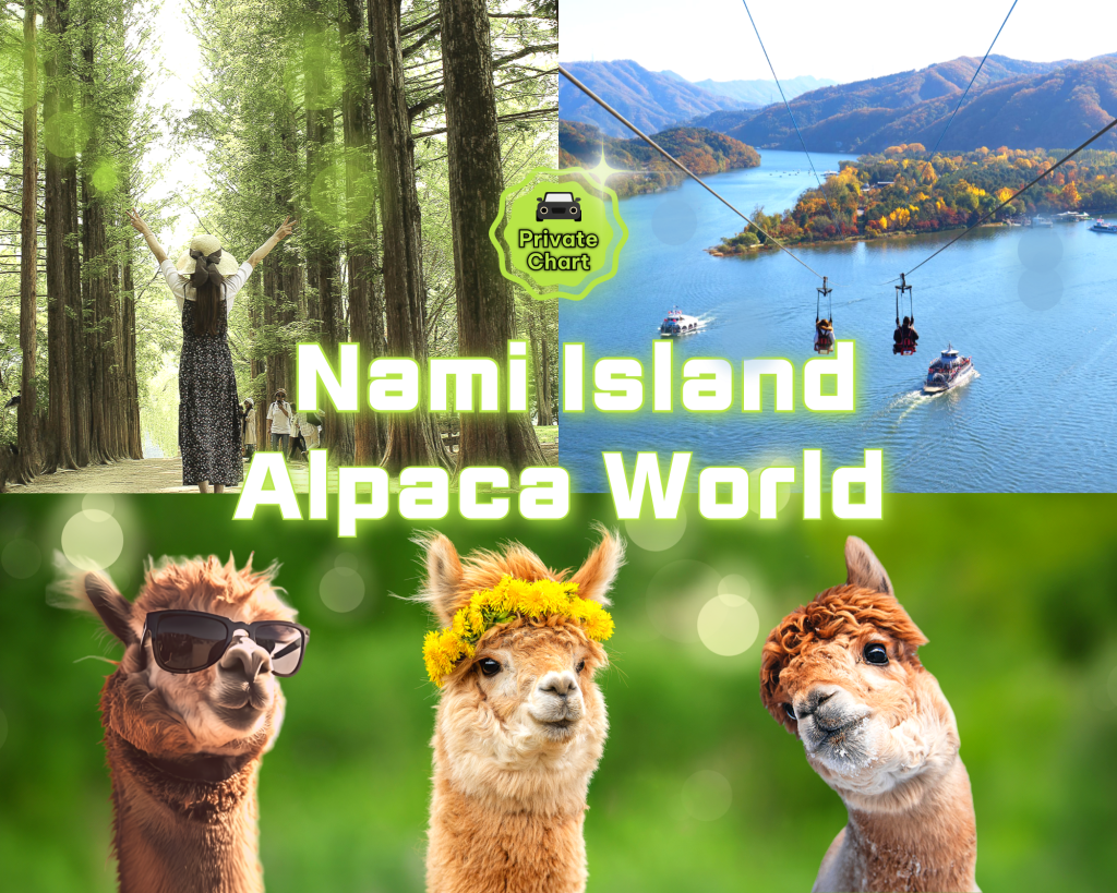 Nami Island · Samaksan Cable Car · Alpaca World PrivateTour