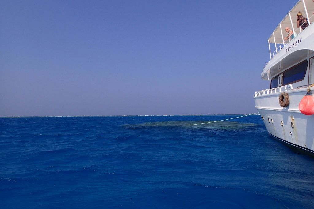 사타야 돌고래 산호초