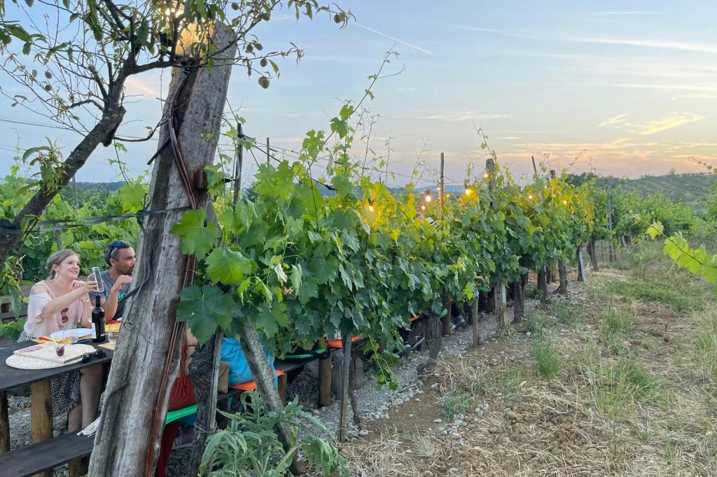 포도원에서 즐기는 저녁 식사