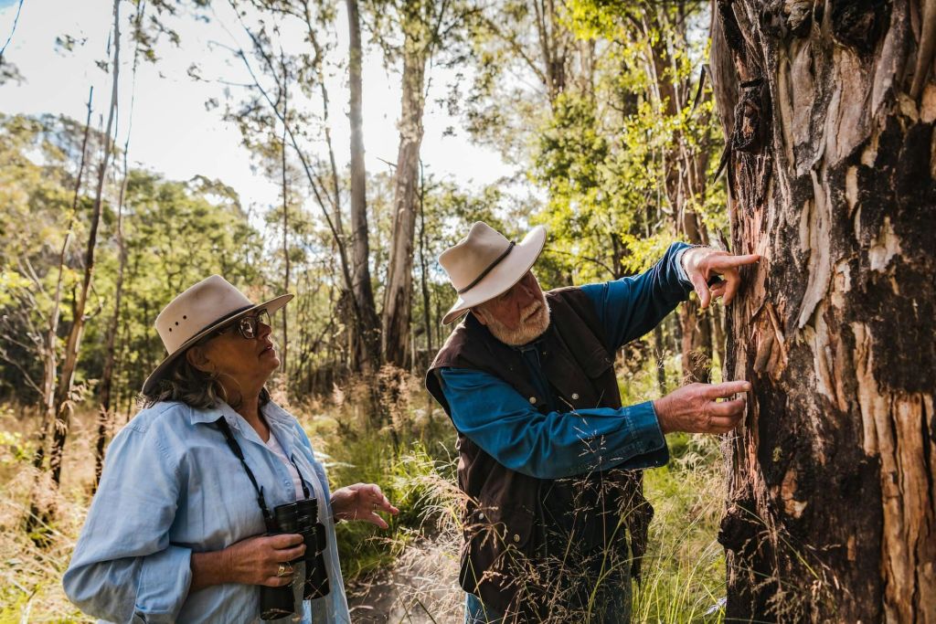 베스트 야생동물 투어