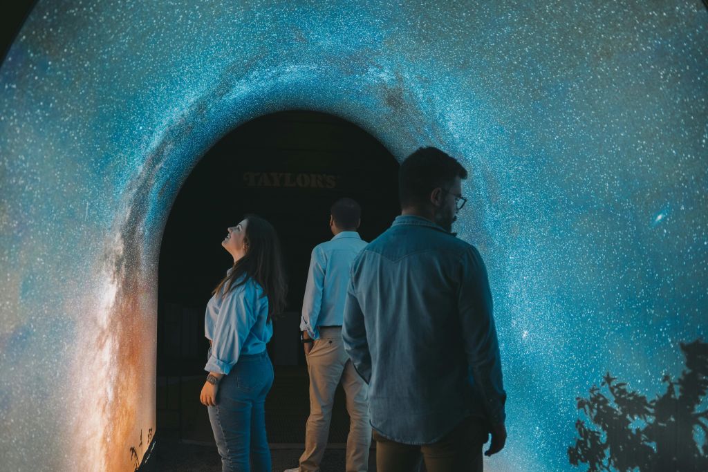 테일러님의 방문