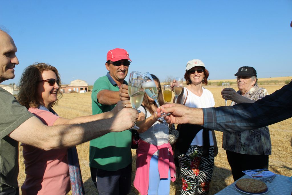 햇살이 내리쬐는 들판에서 샴페인 잔을 들고 건배하는 사람들, 모자와 선글라스를 쓴 사람들.