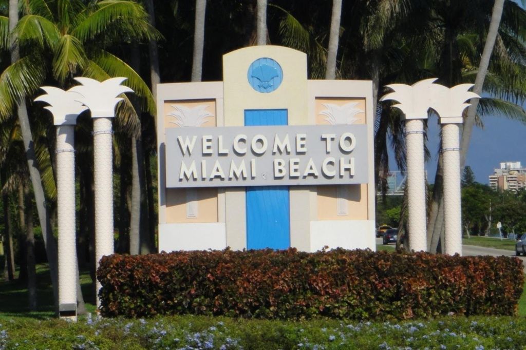 마이애미 그레이라인