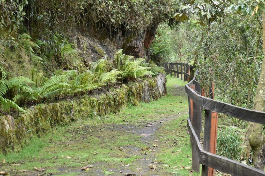 엘 파라무노 생태 트레일