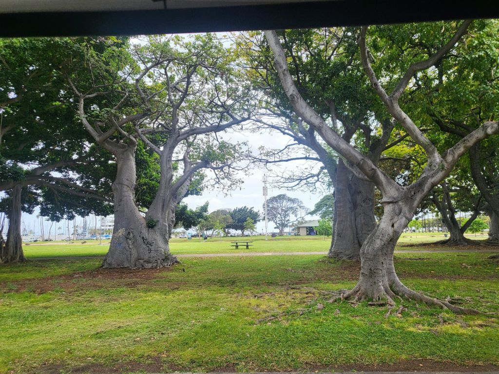 알라 모아나 비치 파크