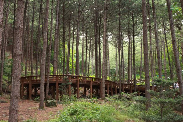 [양평] 국립 산음 자연 휴양림