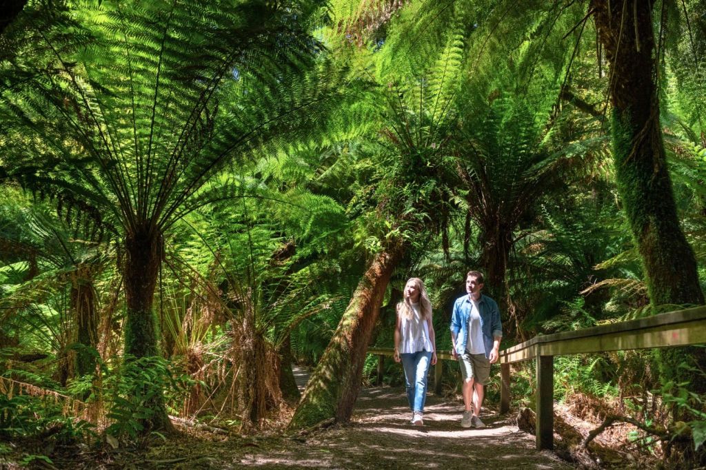 메이트레스트 열대우림 도보 투어