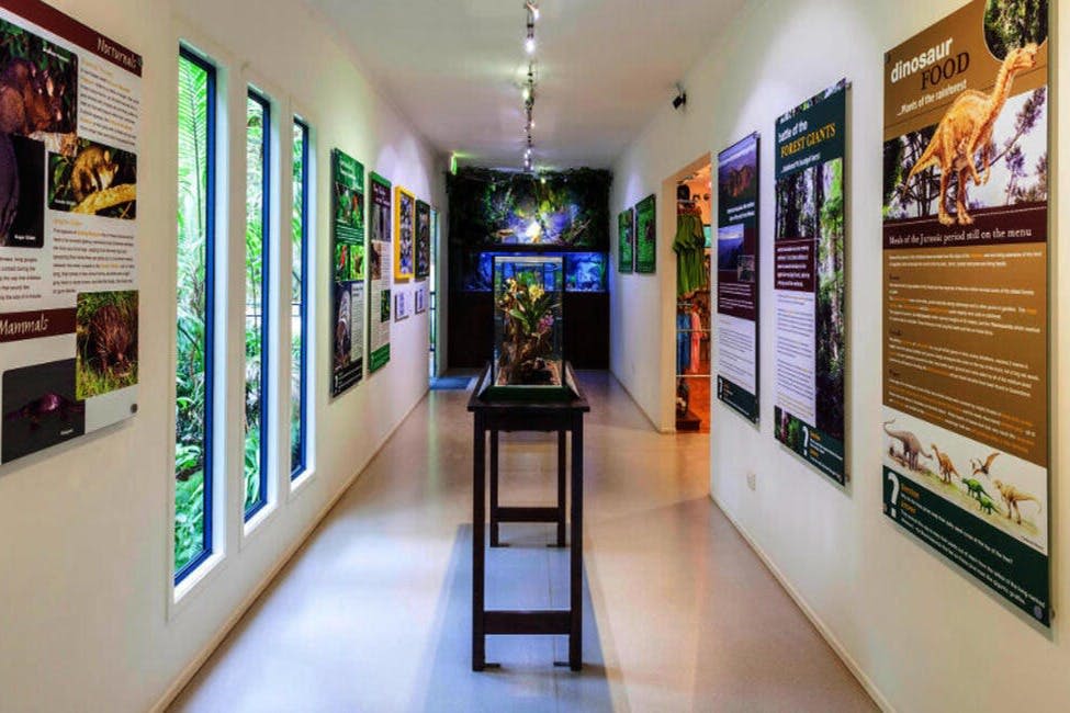 탬버린 마운틴 레인포레스트 스카이워크